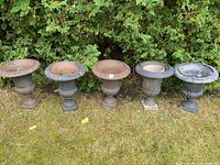 All five urn-style planters lined up on grass with hedge background