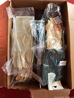 Box contains multiple pairs of gloves mostly in plastic packaging including beige, tan, black, and dark green colors.