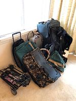 Photo showing a collection of various carry-on luggage bags including leopard print, green, black, and brown, along with two black metal luggage carts on carpet by window