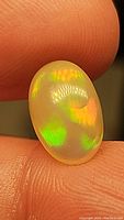 Close-up photo showing oval cabochon untreated Ethiopian opal exhibiting bright green and orange flashes held between fingers for scale.