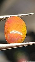 Close-up of the red Ethiopian opal held by tweezers showing multicolored play of color in orange-red hues.