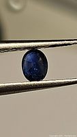 Close-up of oval cut royal blue sapphire held by tweezers showing facets and deep blue color.
