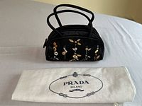 Handbag front view with dust bag beneath