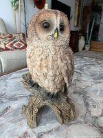 Photo showing full front view of detailed Tawney Owl carving perched on branch, textured feathers, and environment context.