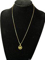 Full view of the necklace displayed on a black velvet bust showing chain and pendant