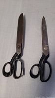Two large vintage metal shears on a white fabric background, showing overall size and condition including rust and black handles.