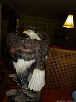 Front and side view of the bald eagle figurine with soaring pose and detailed feathers