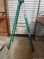 Full view of green 6ft Werner step ladder standing open, showing side rails, steps, and spreaders.
