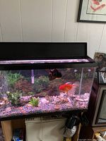 Front view of 30 gallon aquarium with decorative gravel, pump, filter, temperature controller, and lighting.