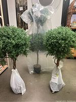 Three faux topiary trees together, two front wrapped at base, one fully wrapped behind
