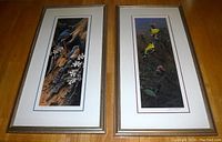 Front view of both framed bird prints showing detailed artwork, mats, and gold frames