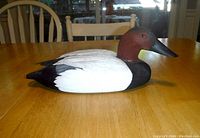 Side profile of the Canvasback duck decoy showing hand painted realistic colors and carving detail