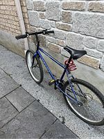 Blue Schwinn mountain bike with knobby tires, black padded saddle and grips. Red coil lock attached to seat post.