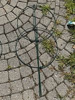 Photo showing a dark green metal plant cage with circular support rings and a long stake for planting in soil, placed on a stone pavement with some grass around.