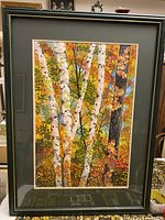 Full view of the framed vintage watercolour painting depicting tall birch trees with vibrant fall foliage under glass in a dark frame with silver lining.