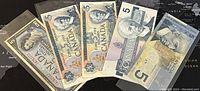 Five Canadian 5 dollar banknotes displayed side by side showing front designs and dates from 1954, 1970, 1979, 1986 and 2006.