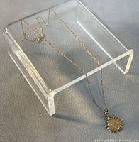 Full view of necklace draped over clear acrylic stand showing chain and pendant