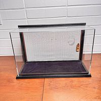 Front view of the rectangular toy display case with clear plastic sides and black wooden base. Purple felt covers the bottom interior surface. Side door with golden latch visible.