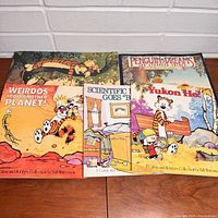 Five vintage comic strip paperback books featuring Calvin and Hobbes and Bloom County with colorful illustrated covers displayed on a wooden surface.