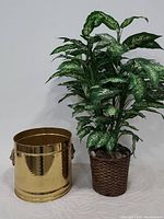 Photo showing the brass pot and artificial plant side by side on a white background.