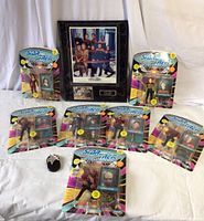 Seven Star Trek The Next Generation action figures in original packaging with a framed Star Trek Voyager art print behind them.