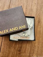 Alex and Ani box with bracelet inside, showing charms and packaging
