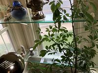 Two heavy glass shelves shown installed with metal brackets, items on shelves not included.