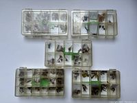 Five clear plastic cases filled with assorted fishing flies, arranged on a white surface.