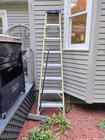 Image showing the Werner 8ft fiberglass step ladder leaning against house siding, outdoor push broom lying at base of ladder on mulch and plants.