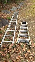 Two ladders shown laid out on grass with leaf debris. One smaller yellow fiberglass folding ladder and one longer aluminum sliding ladder side by side.