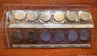 Full plastic sleeve containing all 12 Canada Millennium Quarters from 1999 arranged by month.