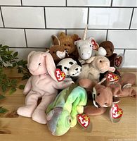 Photo showing all 9 Ty Beanie Babies including pink rabbit, chameleon, lamb, unicorn, bear, spotted dog, kangaroo, resting dog, and fox with Ty heart tags visible.