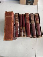 Photo showing the spines of seven old hardcover books arranged in a row on a white surface. Titles visible include Shakespeare, Little Dorrit, Sea Wolf, Martin Chuzzlewit, Complete Works of Stevenson, Ben-Hur.