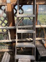 12-step aluminum ladder leaning against wooden lattice, showing full length and condition