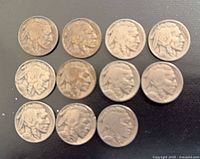 Front view of 11 Buffalo Nickels