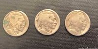 Three 1917 Buffalo nickels obverse view