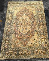 Full view of the oriental carpet showing overall design and dimensions