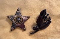 Front view of both brooches: star and floral designs