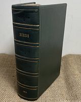 View of the book standing upright, showing dark green leather spine with gold 'BIRDS' title and '1813' date, including decorative embossing and smooth binding.