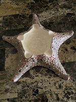 Top view of the ceramic starfish ashtray showing its five arms and central bowl with red and gray dot decoration.