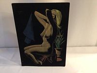 Full view of the velvet painting showing the nude woman seated, the potted plant, and the dark triangular shape in the background.