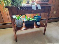 Wooden side table with plants on top and bottom shelf, showing front view with drawer and caster wheels.