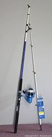 Full length image of Shakespeare Tiger 7-foot spinning rod with attached blue spinning reel and original tag.
