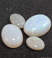 Four oval genuine opal gemstones on black background showing milky white base with iridescent colors under different angles.