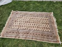 Full view of the neutral Persian rug laid out on grass, showing pattern, colors, and fringe edges.