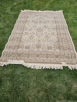 Full top-down view of rug laid on grass, showing fringe and border