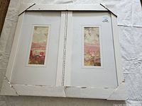 Photo showing the set of two decorative prints side by side in original packaging with white matting and frames.
