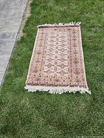 Photo of neutral Persian rug laid out on grass showing full design and neutral colors.