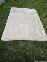 Rectangular beige area rug with a thick plush texture laid out on green grass, showing overall condition and color.
