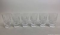 Photo showing all six Waterford Crystal Kylemore tumblers arranged in a straight line.